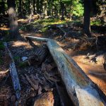 Edison-Lava Trail Feature