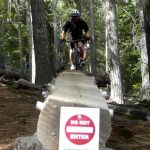 Funner Elevated Log Ride