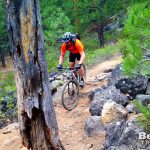 Mountain Biking Grand Slam