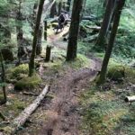 Hardesty Trail Oakridge