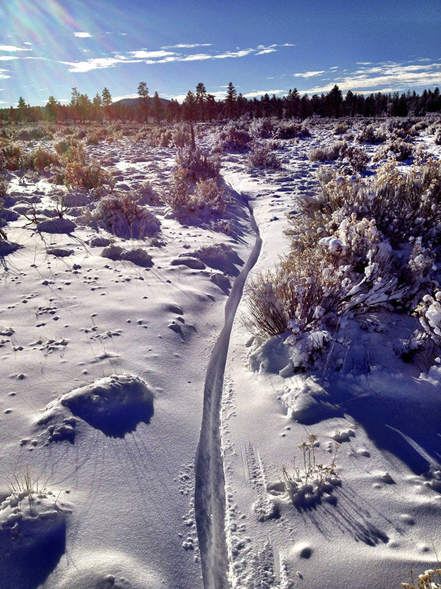 This is the track/Rut left by a 2? MTB tire on the same trail as you see above. You can see where the bottom of the pedals were skimming the top of the snow. Hard track to follow on the way back!