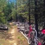 La Pine State Park Mountain Bike Trails — Pic: Scott Wilkinson