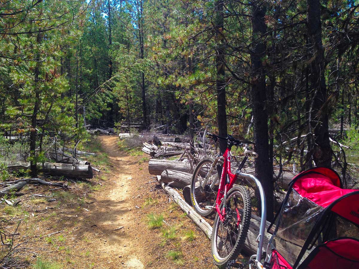 La Pine State Park Trail » BendTrails