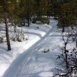 MTB Snow Trail