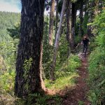 O’Leary Mountain Trail