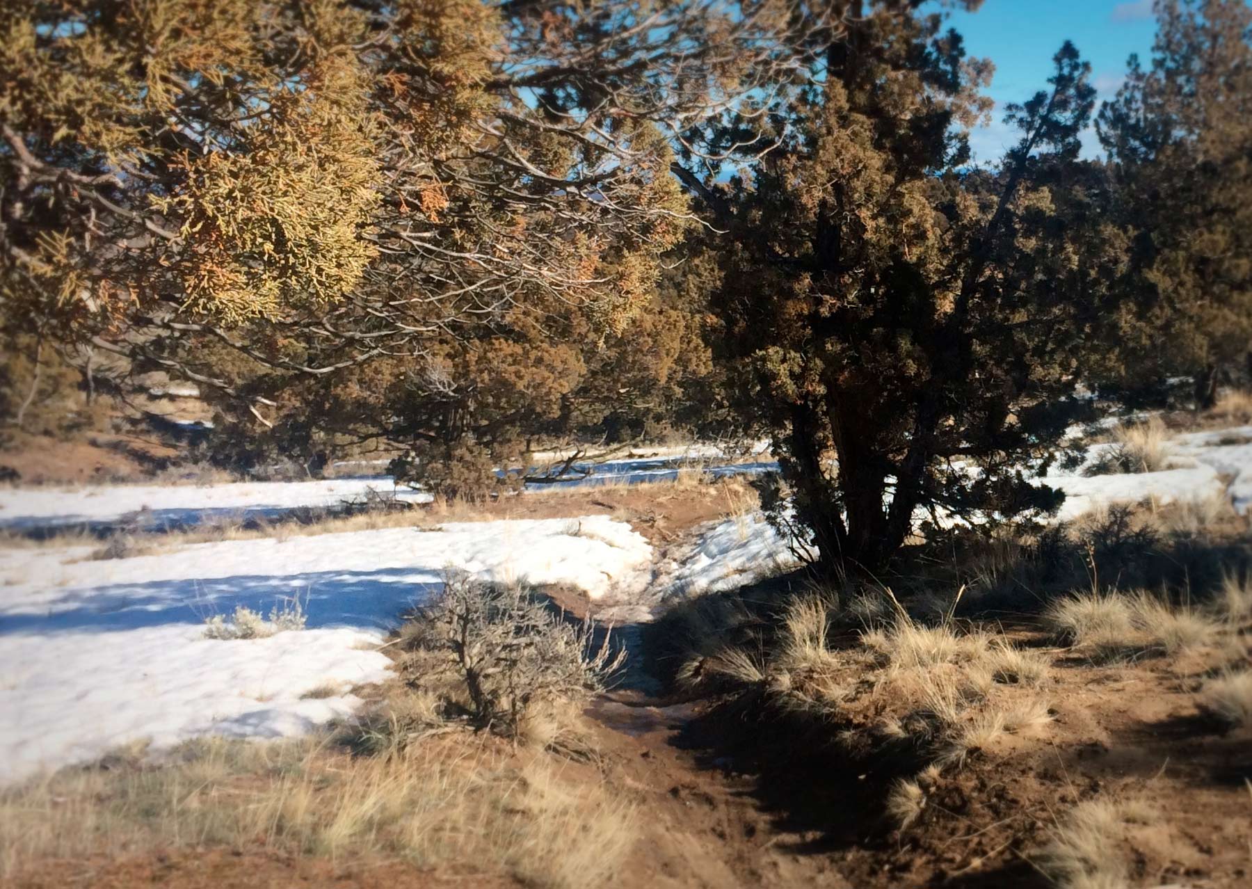 Riding Around Snow Patches