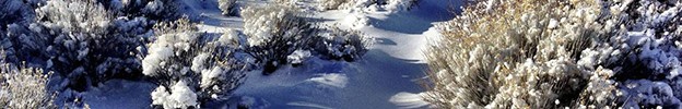 Riding in Snow