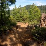 Rocks on Tumalo Ridge Trail