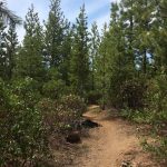 Sector 16 Trail in Bend, Oregon