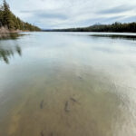 Suttle Lake Loop Trail