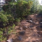 Tumalo Ridge Trail in Bend