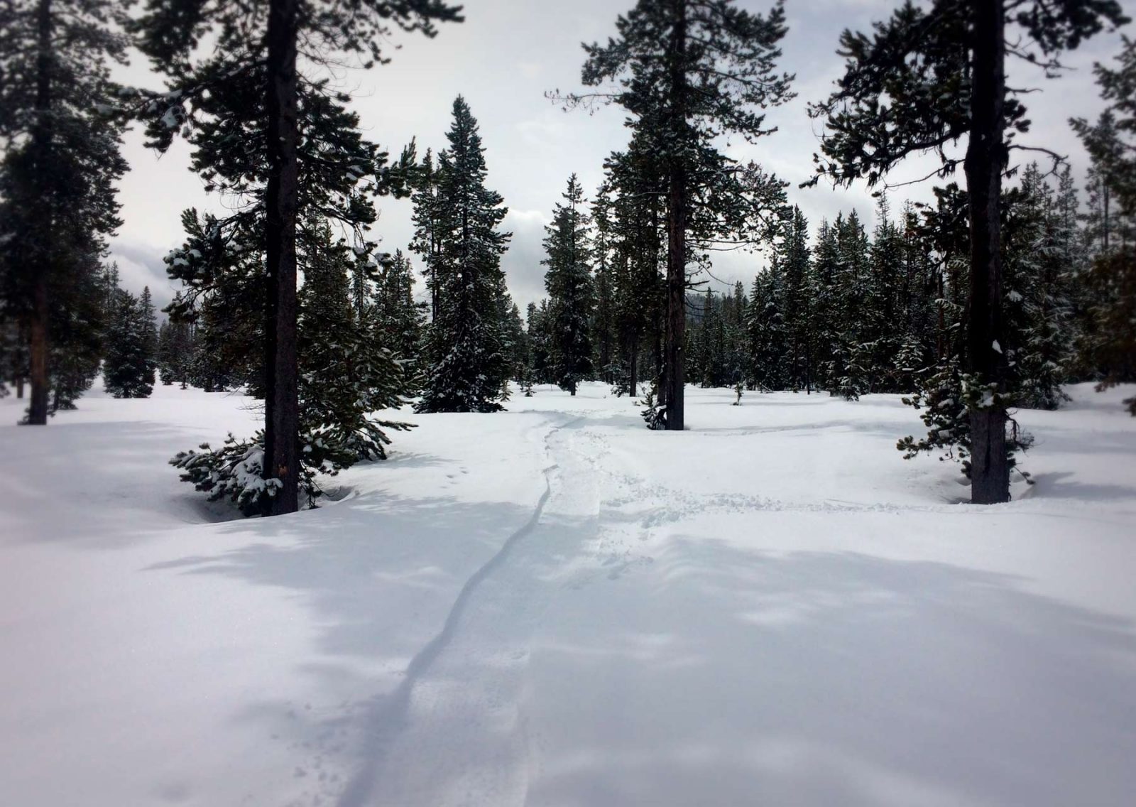 Wanoga Snow Bike Trails! Bend Trails