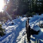 Ben’s Mountain Bike Trail in Bend