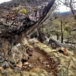 Cline Butte Backside Trail