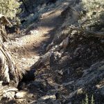 Cline Butte Trail 2 Gnar