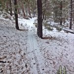 Coyote Loop Trail in the Snow