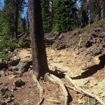 Edison-Lava Trail Roots