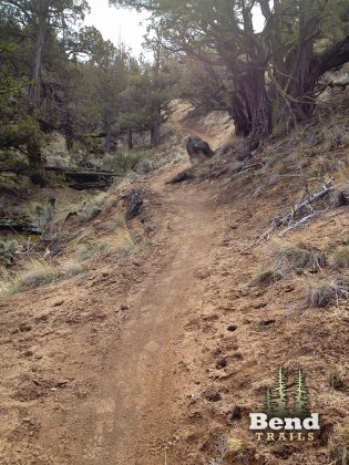 Horse Ridge MTB Downhill