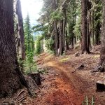 Metolius-Windigo Trail
