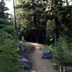 Northfork Trail Climb