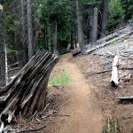 Tumalo Ridge Trail